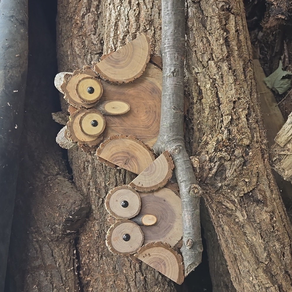 Black walnut owls set of 2 on branch